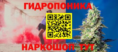 ГАЛЛЮЦИНОГЕННЫЕ ГРИБЫ Гусев