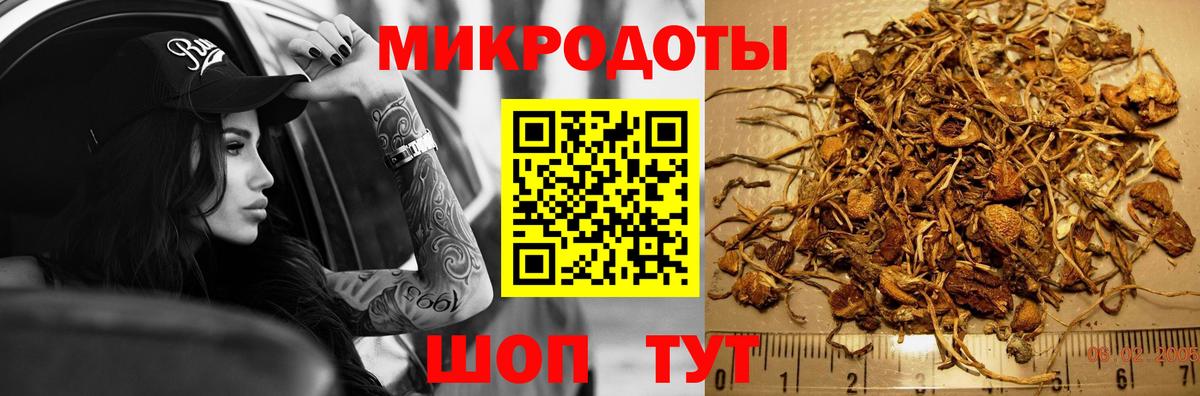 Норильск  где найти наркотики  Галлюциногенные грибы мицелий  Вход с VPN  Галлюциногенные грибы Magic Shrooms 